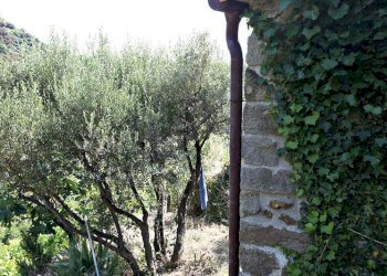 b98233ee0e684cc409ffb118e7c4db07_orig.jpg - Rustic Riomaggiore - photo 5