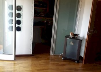 20160606_172206.jpg - Appartamento Fosdinovo - foto 13