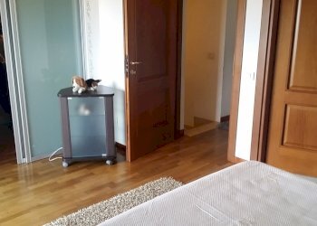 20160606_172210.jpg - Appartamento Fosdinovo - foto 14