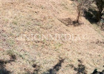 WhatsApp Image 2025-07-11 at 10.25.26.jpeg - Terreno edificabile Arcola - foto 13