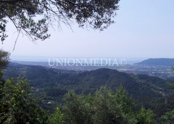 WhatsApp Image 2025-06-10 at 09.31.22 (10).jpeg - Rustico via carignano, Fosdinovo - foto 1