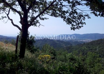 WhatsApp Image 2025-06-10 at 09.31.22 (7).jpeg - Rustico via carignano, Fosdinovo - foto 7