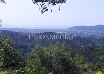 WhatsApp Image 2025-06-10 at 09.30.04.jpeg - Rustico via carignano, Fosdinovo - foto 8