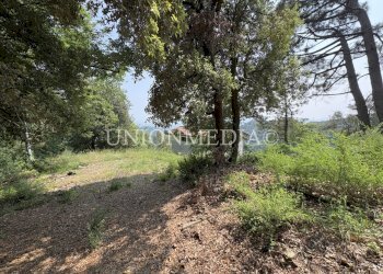 22 carignano fosdinovo rustico indipendente.jpg - Rustico via carignano, Fosdinovo - foto 13