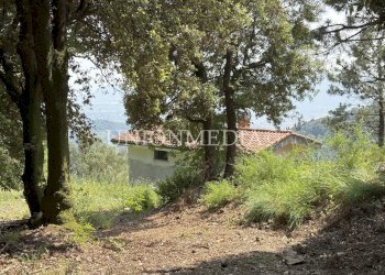 23 carignano fosdinovo rustico indipendente.jpg - Rustico via carignano, Fosdinovo - foto 14