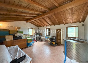 2 canepari fosdinovo casa indipendente con giardin - Villa via canepari, Fosdinovo - foto 7