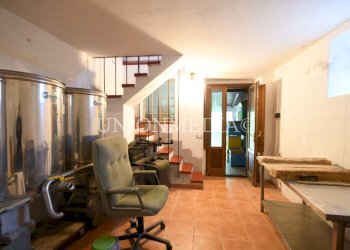 10 canepari fosdinovo casa indipendente con giardi - Villa via canepari, Fosdinovo - foto 15