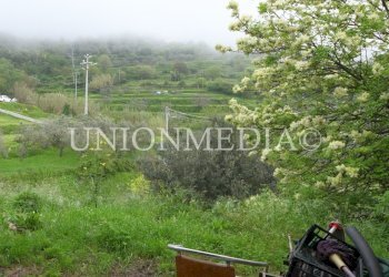 12 canepari fosdinovo casa indipendente con giardi - Villa via canepari, Fosdinovo - foto 19