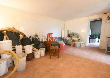15 canepari fosdinovo casa indipendente con giardi - Villa via canepari, Fosdinovo - foto 22