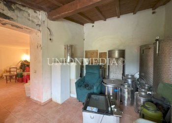 17 c canepari fosdinovo casa indipendente con giar - Villa via canepari, Fosdinovo - foto 25