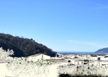 5.jpg - Terreno edificabile Luni - foto 1