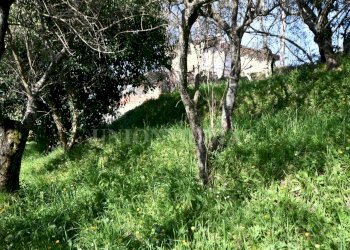 4.jpg - Terreno edificabile Luni - foto 5