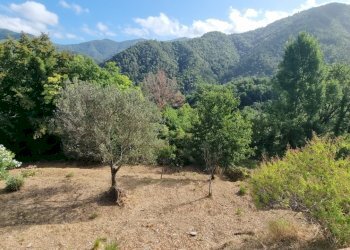 20250722_092623.jpg - Villa via piazzetta, Luni - foto 3