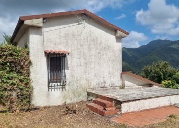 20250722_113613.jpg - Villa via piazzetta, Luni - foto 5