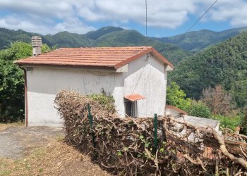 20250722_123458.jpg - Villa via piazzetta, Luni - foto 6