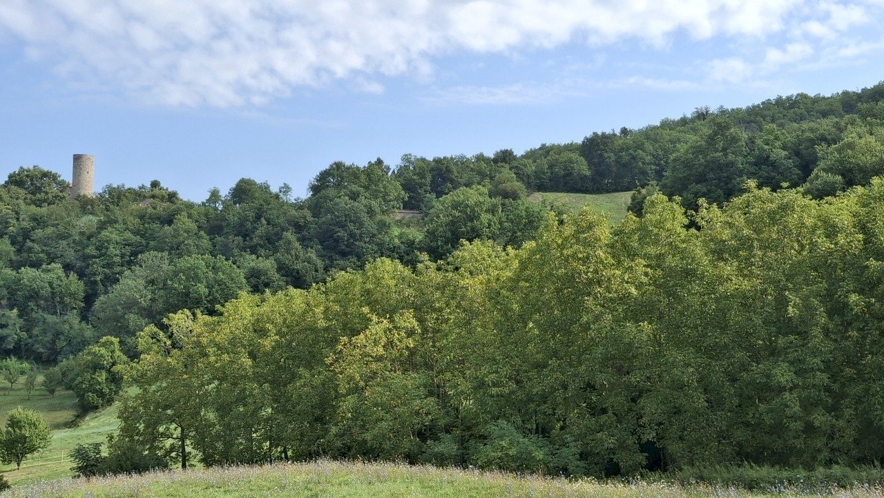 Paesaggio.jpg - Terreno agricolo Via Serra di Sotto 116, Pennabilli - foto 1