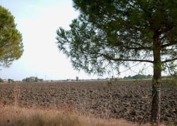 2.JPG - Terreno agricolo Via Secchiano 45, Rimini - foto 1