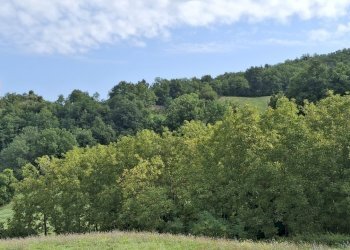 Paesaggio.jpg - Casa semi indipendente Via Serra di Sotto 116, Pennabilli - foto 1