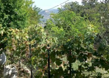 scoperto.jpg - Quadrilocale Via Ca' Francescone 2, Novafeltria - foto 1