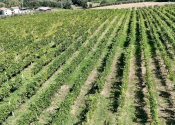 DJI_20250805114709_0020_D.jpg - Villa Via Roma 14A, Borghi - foto 13