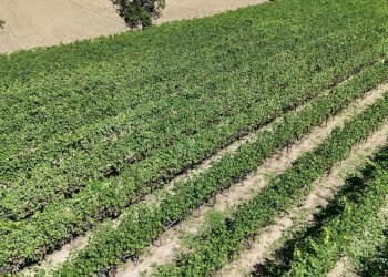 DJI_20250805114829_0023_D.jpg - Villa Via Roma 14A, Borghi - foto 16