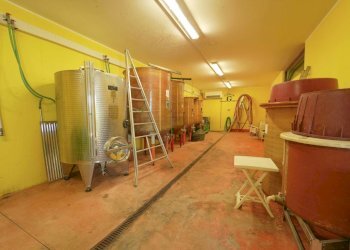 DSC00170.jpg - Villa Via Roma 14A, Borghi - foto 23