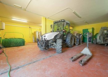 DSC00171.jpg - Villa Via Roma 14A, Borghi - foto 24