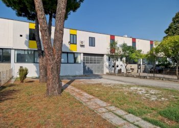 20250821_095928.jpg - Locale Commerciale Via della Liberazione, San Mauro Pascoli - foto 20