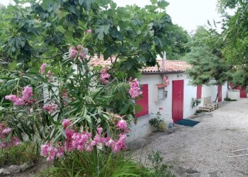 15.jpg - Villa Via Vignola Palata 25, Sogliano al Rubicone - foto 2