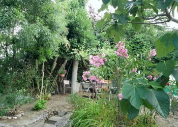 19.jpg - Villa Via Vignola Palata 25, Sogliano al Rubicone - foto 18