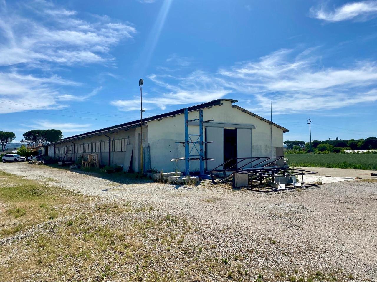 WhatsApp Image 2025-06-09 at 11.00.34.jpeg - Non Alimentare Via Pauluzza 9, Forlì - foto 2