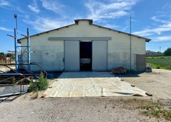 WhatsApp Image 2025-06-09 at 11.00.33.jpeg - Non Alimentare Via Pauluzza 9, Forlì - foto 1