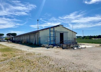 WhatsApp Image 2025-06-09 at 11.00.34.jpeg - Non Alimentare Via Pauluzza 9, Forlì - foto 2