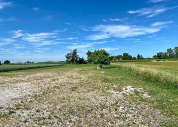 WhatsApp Image 2025-06-09 at 11.00.35.jpeg - Non Alimentare Via Pauluzza 9, Forlì - foto 4