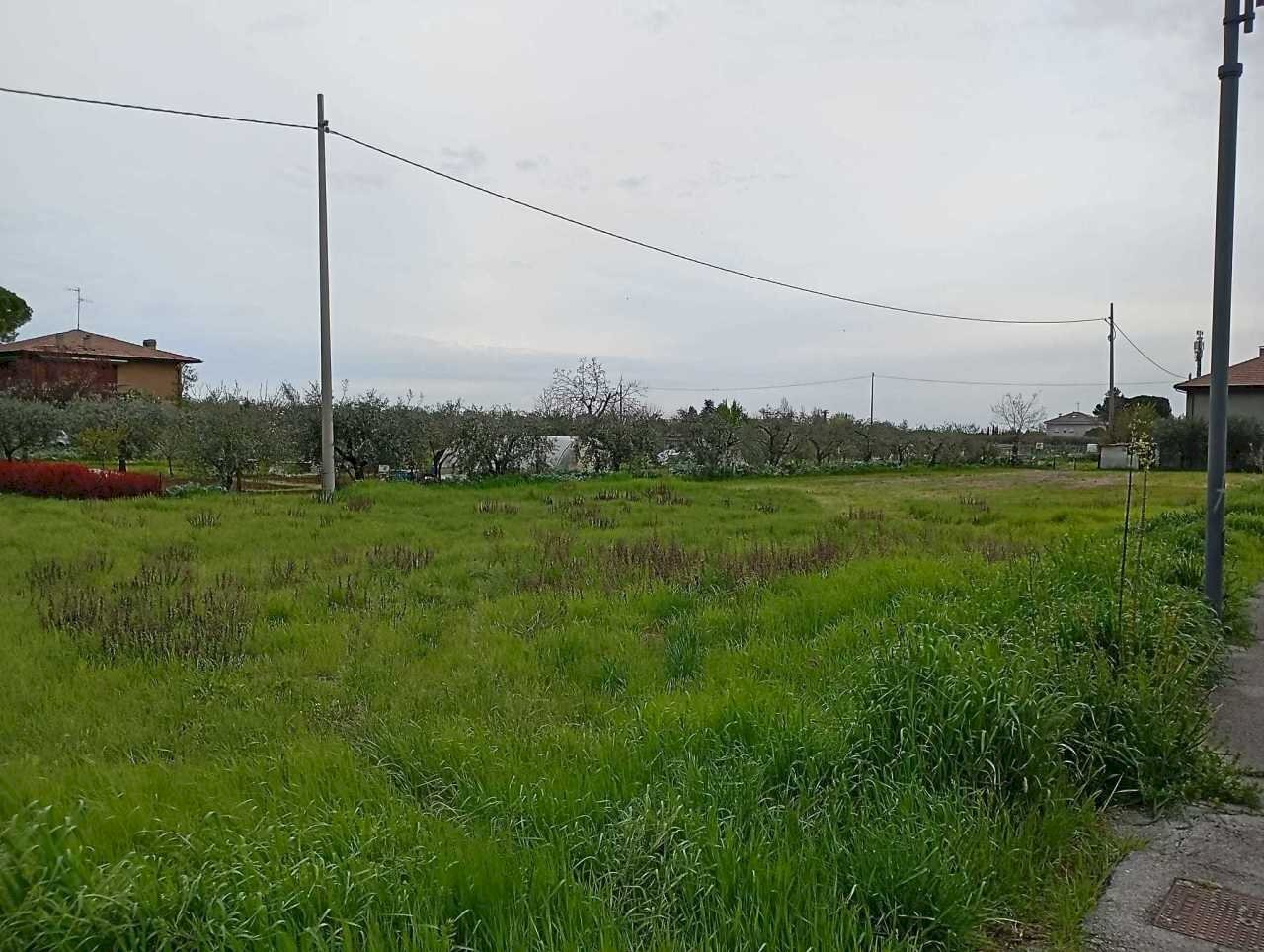 1f2edf42-54f1-4a09-ab91-7e7595a79a7c.jpg - Terreno agricolo Verucchio - foto 1