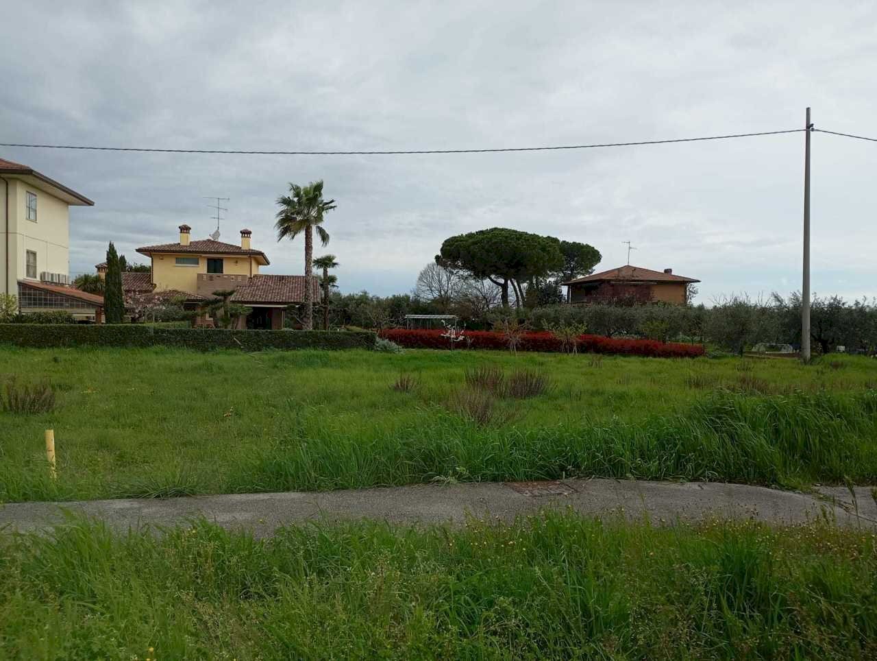 6480992c-ae15-4cb7-8421-ceebfd4c1a62.jpg - Terreno agricolo Verucchio - foto 3