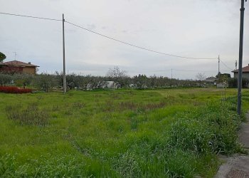 1f2edf42-54f1-4a09-ab91-7e7595a79a7c.jpg - Terreno agricolo Verucchio - foto 1