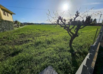 5.jpg - Terreno agricolo Via Casetti Molari, Santarcangelo di Romagna - foto 5