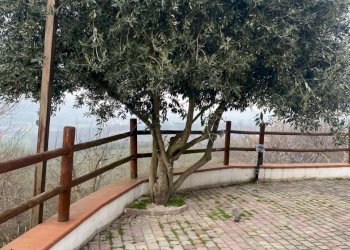 35.jpg - Villa Via Tomassini 18, Borghi - photo 17