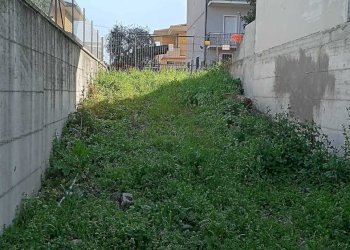 ed3a37cd-996d-43e2-9985-53e90180eced.jpg - Small Villa Verucchio - photo 19