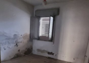 Immagine WhatsApp 2025-03-12 ore 16.15.49_d2997c22 - Villa Trifamiliare Viale Viareggio 14, Rimini - foto 7