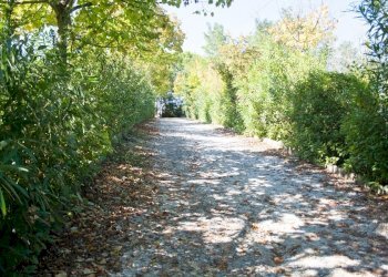 IMG_7647.jpg - Casale Rimini - foto 3