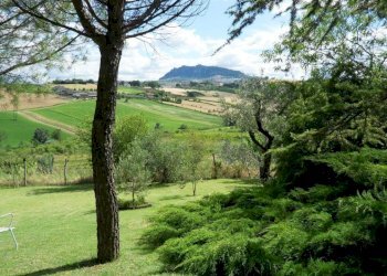 156946220.jpg - Casale Rimini - foto 6