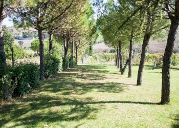 IMG_7655.jpg - Casale Rimini - foto 7