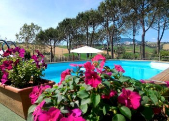 146161156.jpg - Casale Rimini - foto 9