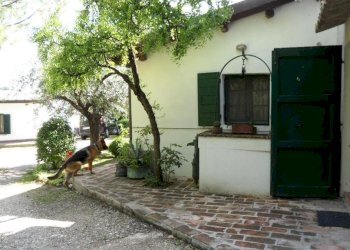 139091756.jpg - Casale Rimini - foto 29