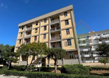 19.jpg - Quadrilocale Monopoli - foto 20