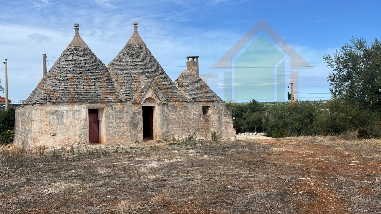 Immagine WhatsApp 2025-09-26 ore 13.38.53_09b542ff - Semi-detached house Polignano a Mare - photo 3