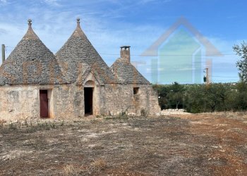 Immagine WhatsApp 2025-09-26 ore 13.38.53_09b542ff - Casa semi indipendente Polignano a Mare - foto 3