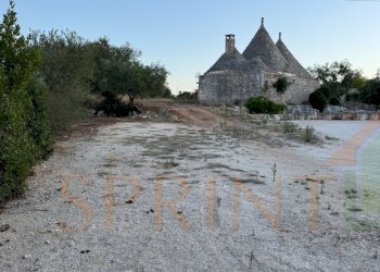 IMG_1865.jpg - Casa semi indipendente Polignano a Mare - foto 5